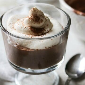 Chocolate Yogurt Mousse Recipe