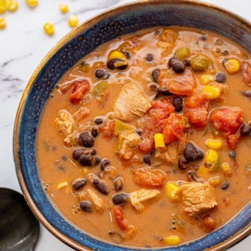 https://amindfullmom.com/wp-content/uploads/2015/11/Southwest-Soup-500x500.jpg