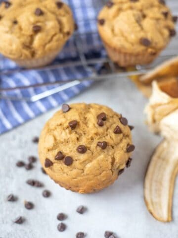 cropped-Peanut-Butter-Chocolate-Banana-Muffins.jpg