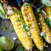 Corn on the cob with husks pulled back and seasoned with cilantro and queso fresco