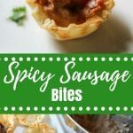 Easy Rotel Bites collage with title text overlay