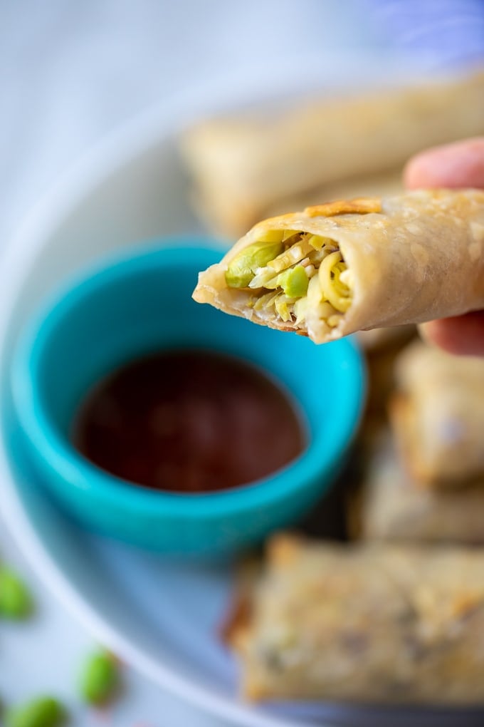 Vegetable Egg Roll being held with bite out of it 