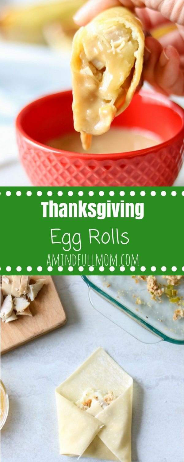 Thanksgiving Egg Rolls | A Mind 