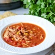 Bowl of Instant Pot Chicken Chili