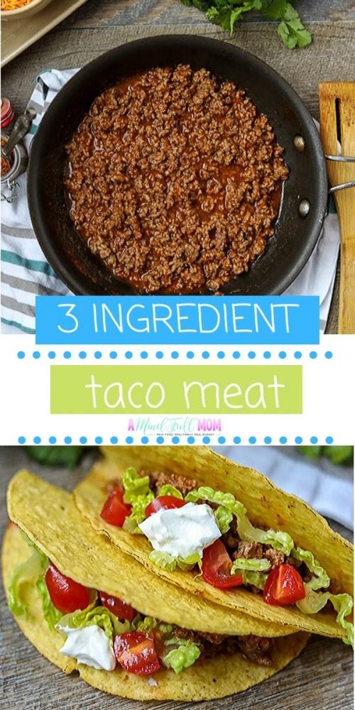 The Best EASY Taco Meat Recipe | A Mind 