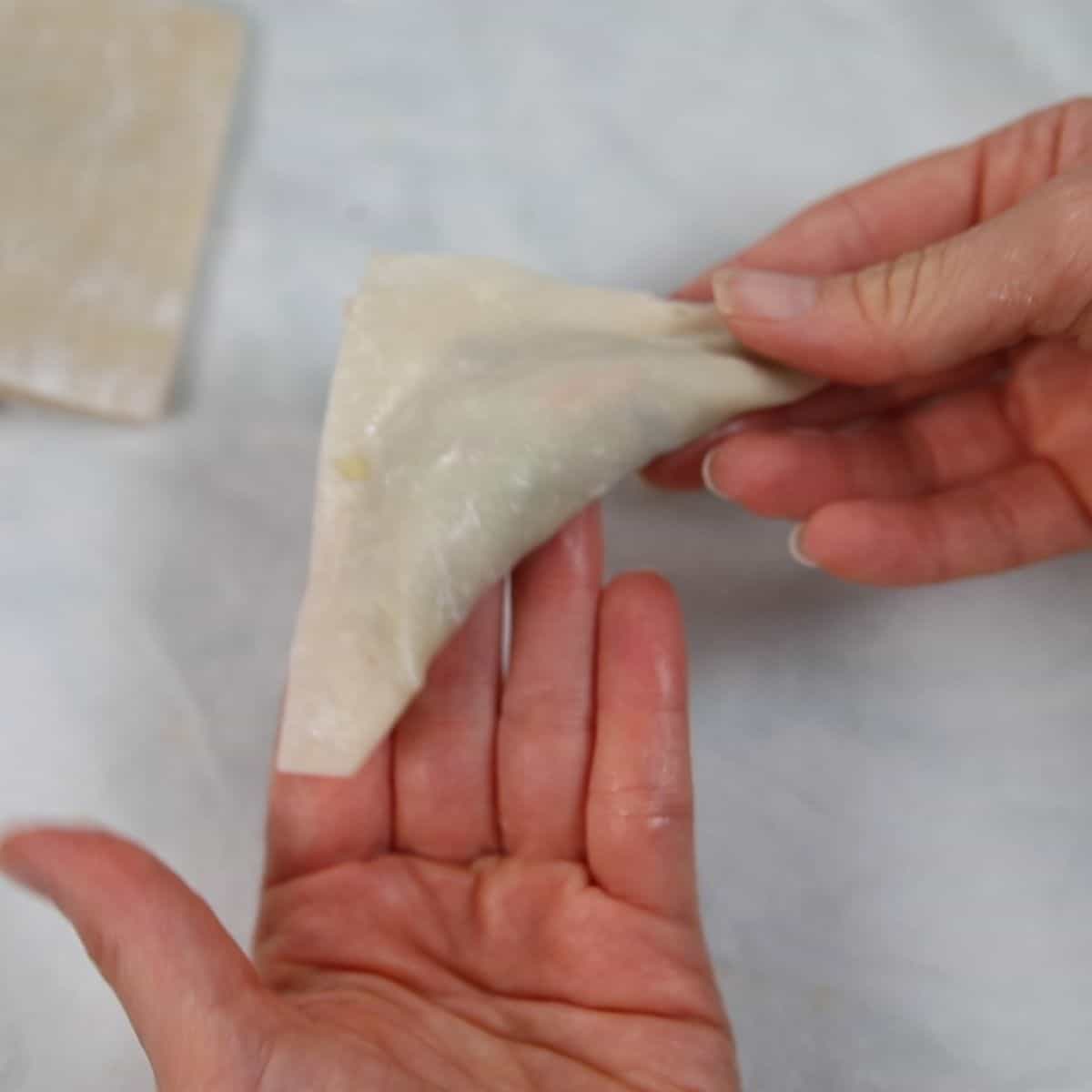 Holding shaped potsticker in hand. 