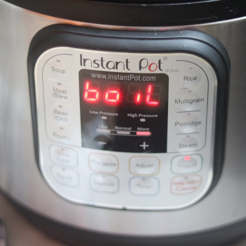 Instant Pot with word Boil displayed