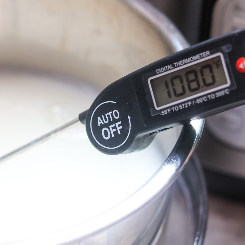 Digital thermometer inserted into yogurt and reads 108 degrees