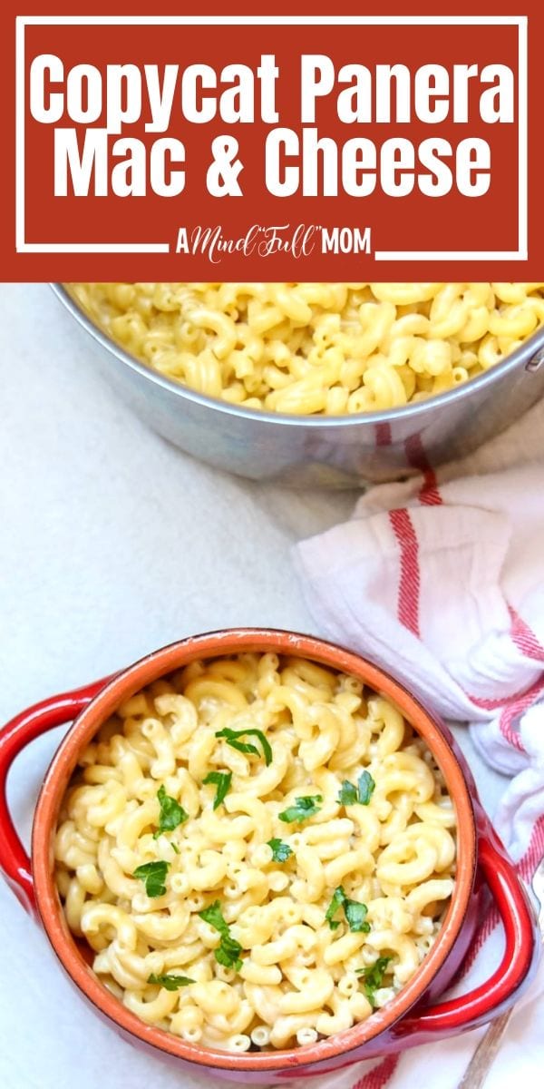 The Best Homemade One-Pot Mac and Cheese