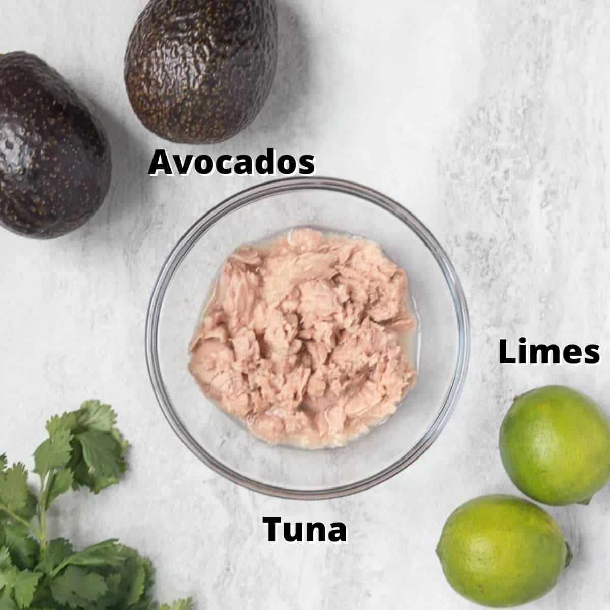 Ingredients for avocado tuna salad labled on counter. 