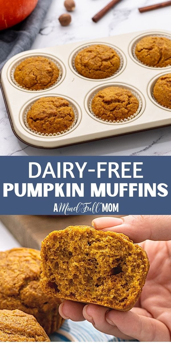 These are the BEST healthy pumpkin muffins out there! Even though this recipe uses all whole wheat flour, maple syrup, and is dairy-free, these pumpkin muffins are light, moist, tender, and perfectly spiced. They are the best from-scratch EASY muffin recipe to satisfy that pumpkin spice craving! 