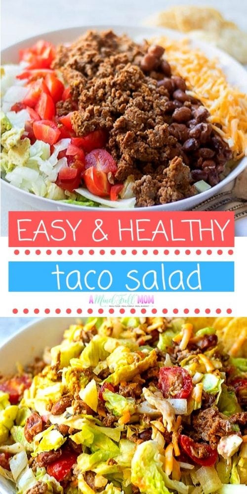 The Best Taco Salad Recipe - Easy & Adaptable