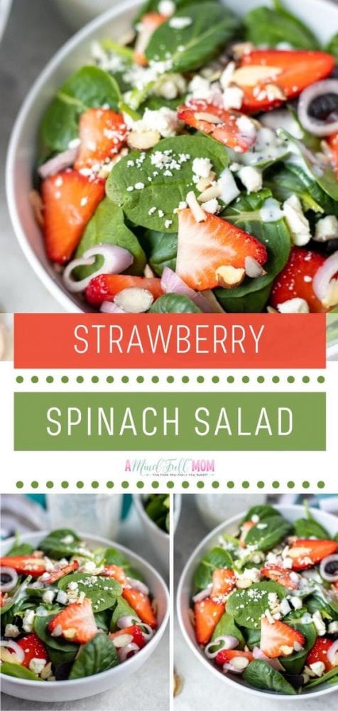 The BEST Strawberry Spinach Salad | A Mind 