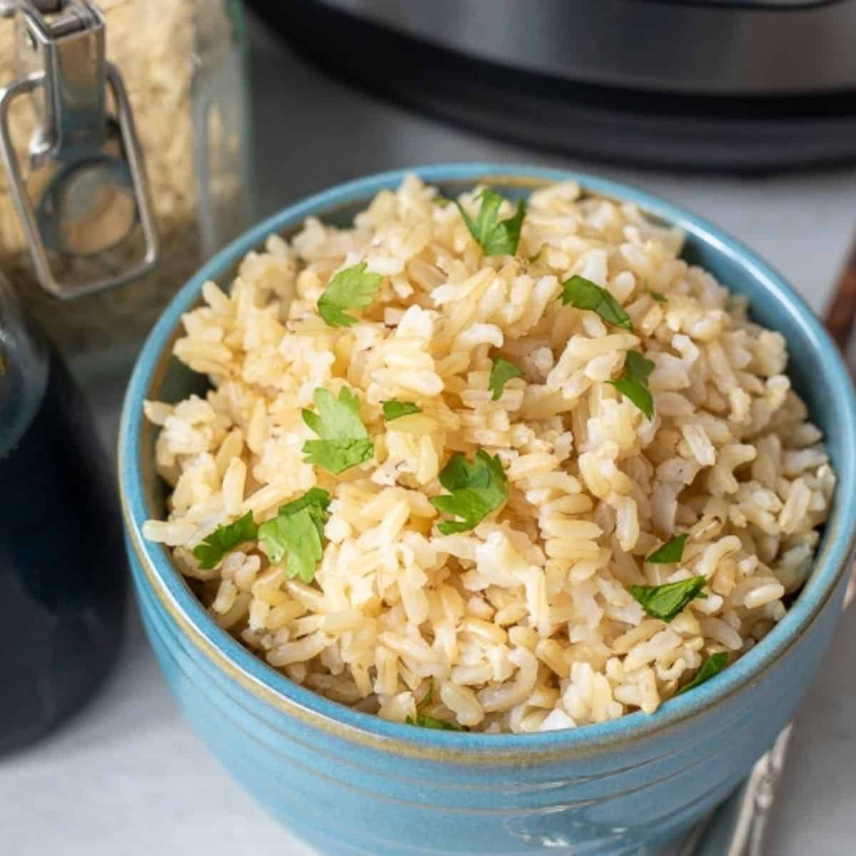 Cooked Brown Rice 1/3 Cup Food Replica