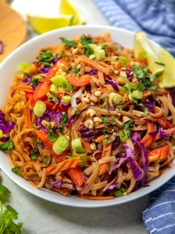Bowl of Rice Noodles tossed with Peanut Thai Sauce and fresh veggies
