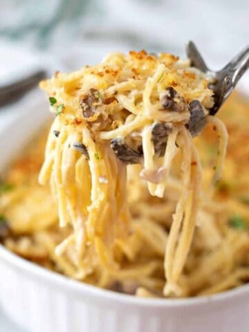 cropped-Leftover-Turkey-Tetrazzini.jpg