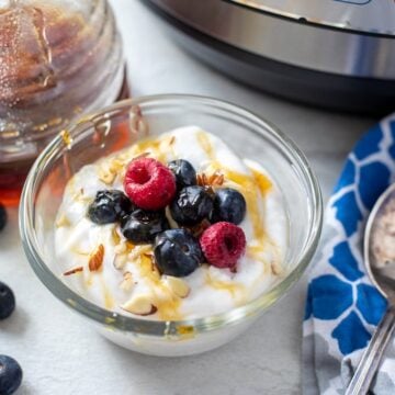 Bowl of Instant Pot Yogurt topped with berries