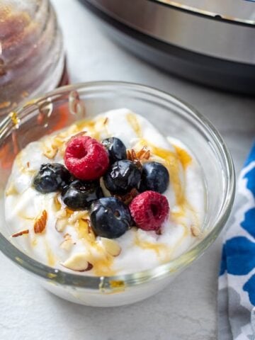 Bowl of Instant Pot Yogurt topped with berries