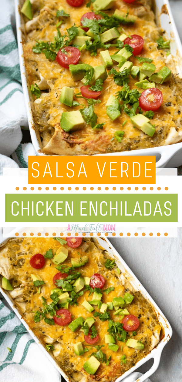 Easy Salsa Verde Chicken Enchiladas | A Mind 