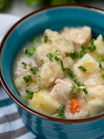 Bowl of Instant Pot Chicken and Dumplings