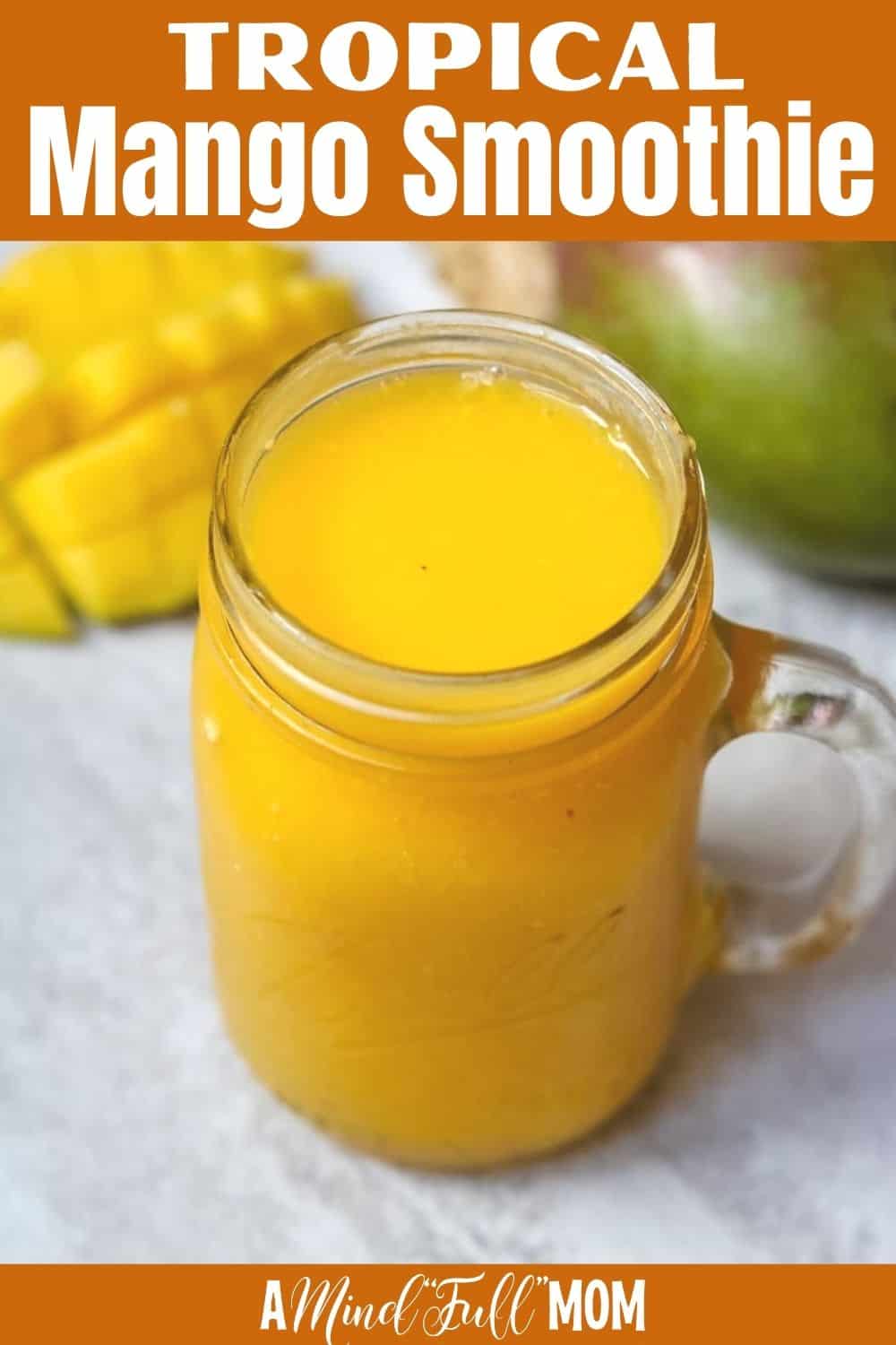 This Mango Smoothie is light, refreshing, and simple to make. Made with mango, orange juice, and banana this simple dairy-free smoothie makes a healthy snack perfect for any time of the day!