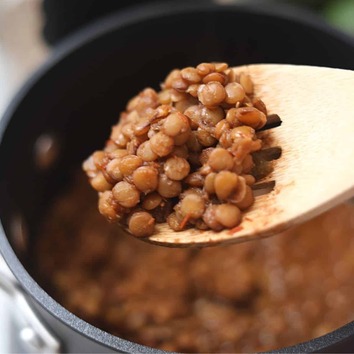 Spoonful of cooked lentil taco meat. 