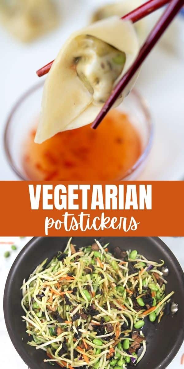 The EASIEST & TASTIEST way to enjoy your veggies! These Vegetarian Potstickers are simple to make, super healthy, and delicious!