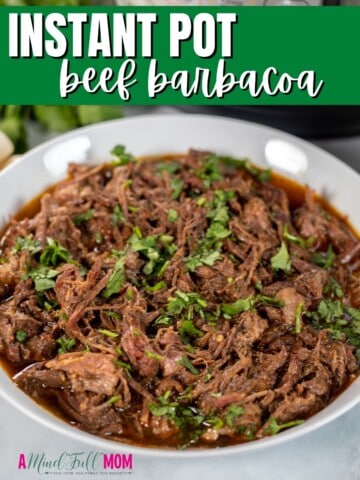 Bowl of beef barbacoa next to instant pot with green title text overlay.