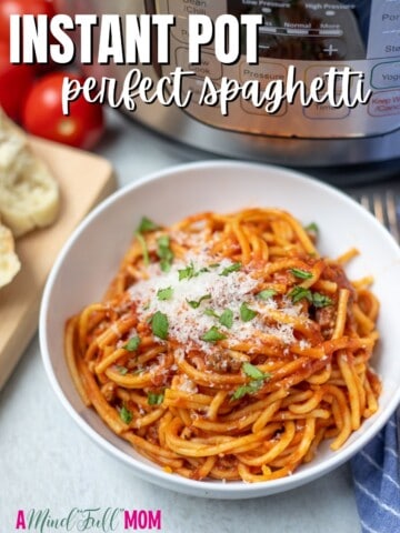 Bowl of Spaghetti with title text overlay.