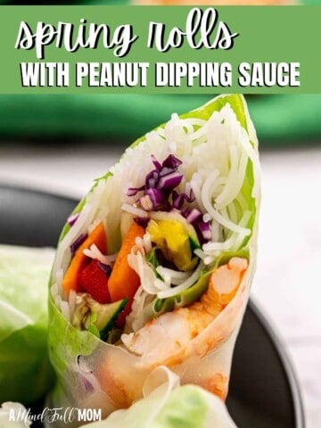 Cut open spring roll with green title text.