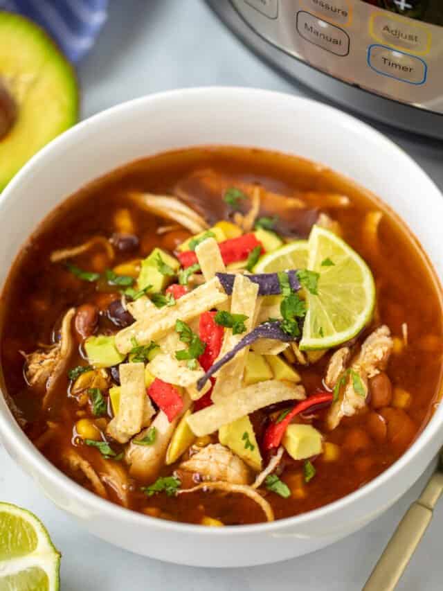 Tried and True Instant Pot Recipes and Tips | A Mind 