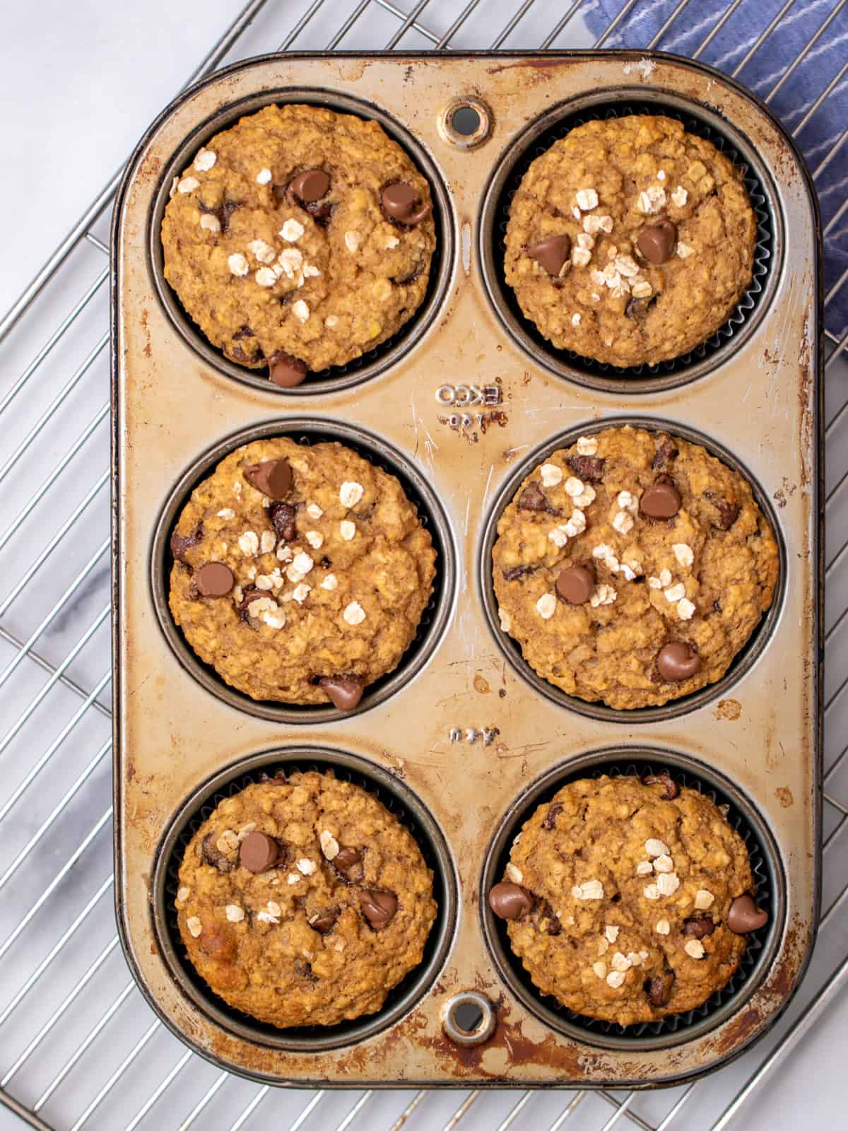 Baked chocolate chip muffins in muffin tin.