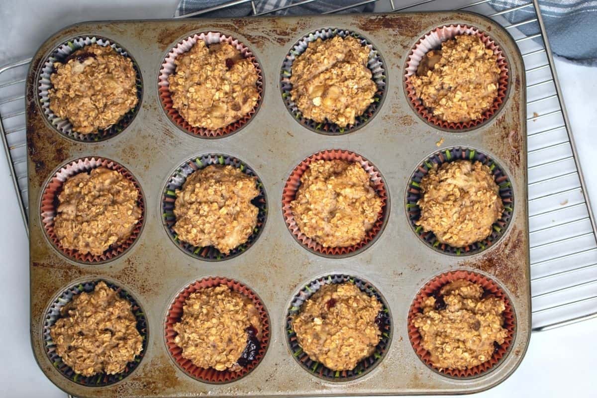 Baked Oatmeal Cups in muffin tin. 