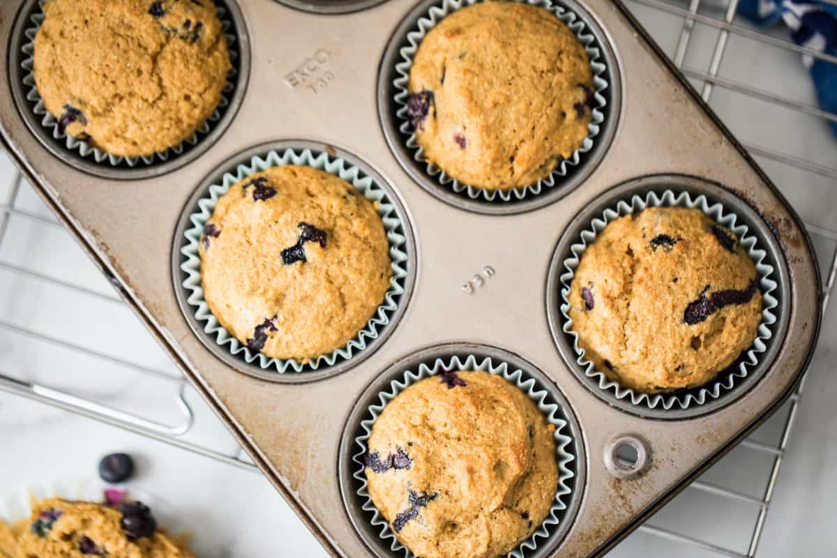 Baked Blueberry Muffins in muffin tin on cooling rack.