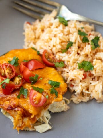 Close up of chicken enchilada dished out on plate next to spanish rice.