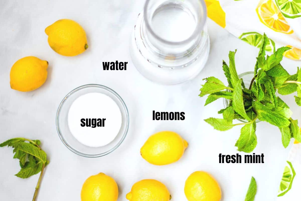 Ingredients for lemonade with mint on counter.