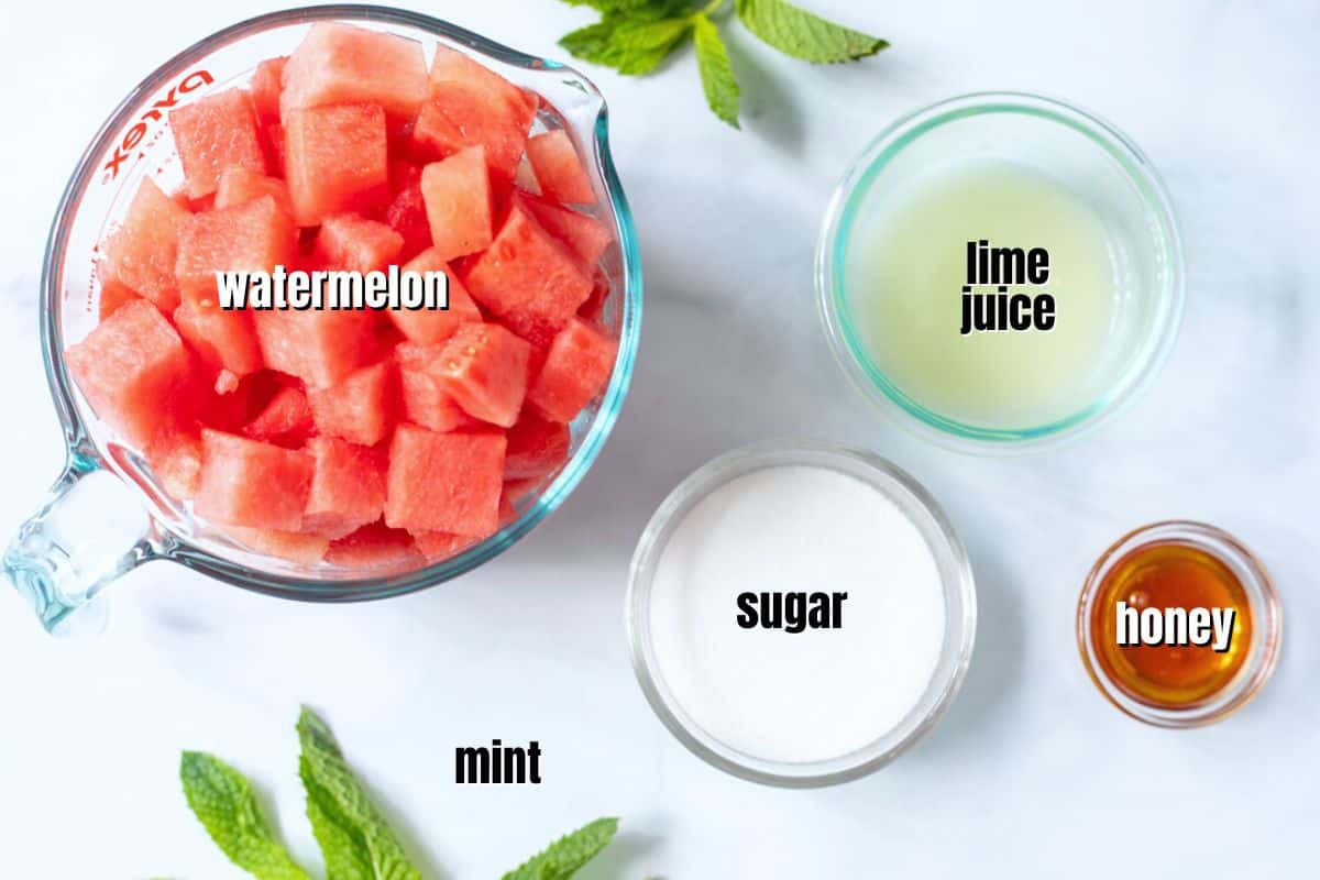Ingredients for watermelon granita labeled on counter.