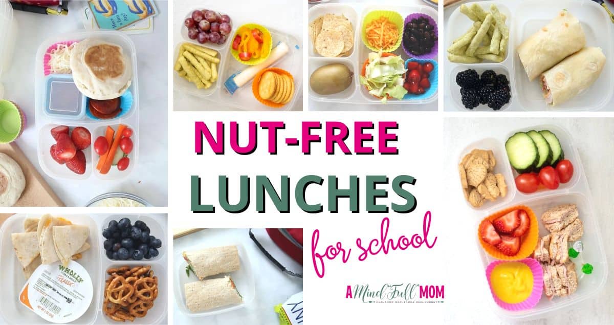 Peanut-Free Packed Lunches for Young Toddlers