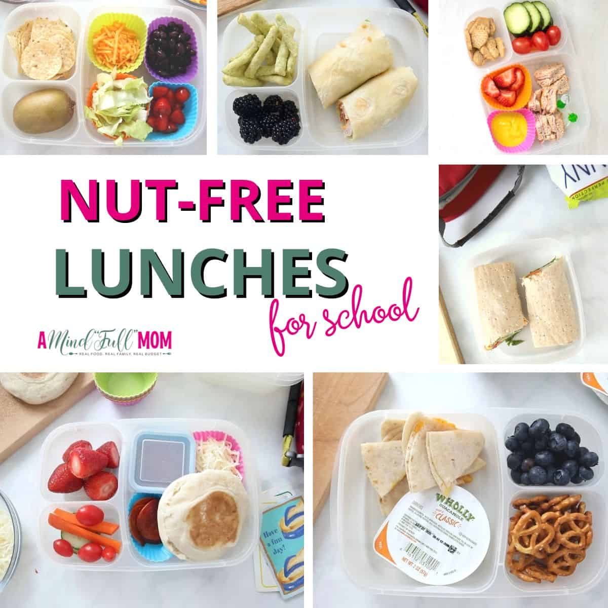 Peanut-Free Packed Lunches for Young Toddlers