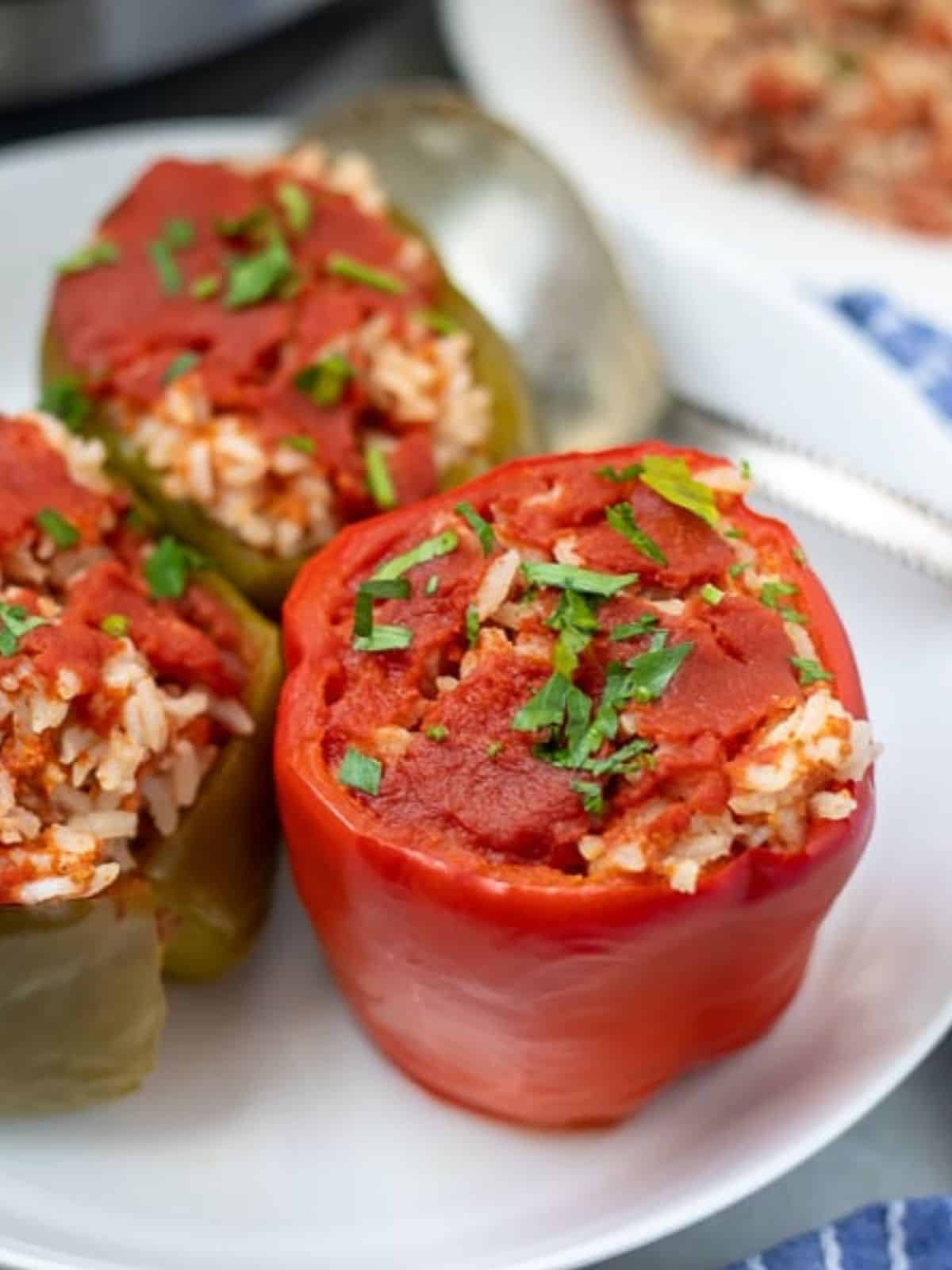 Stuffed Red Bell Pepper on white plate topped with parsley.