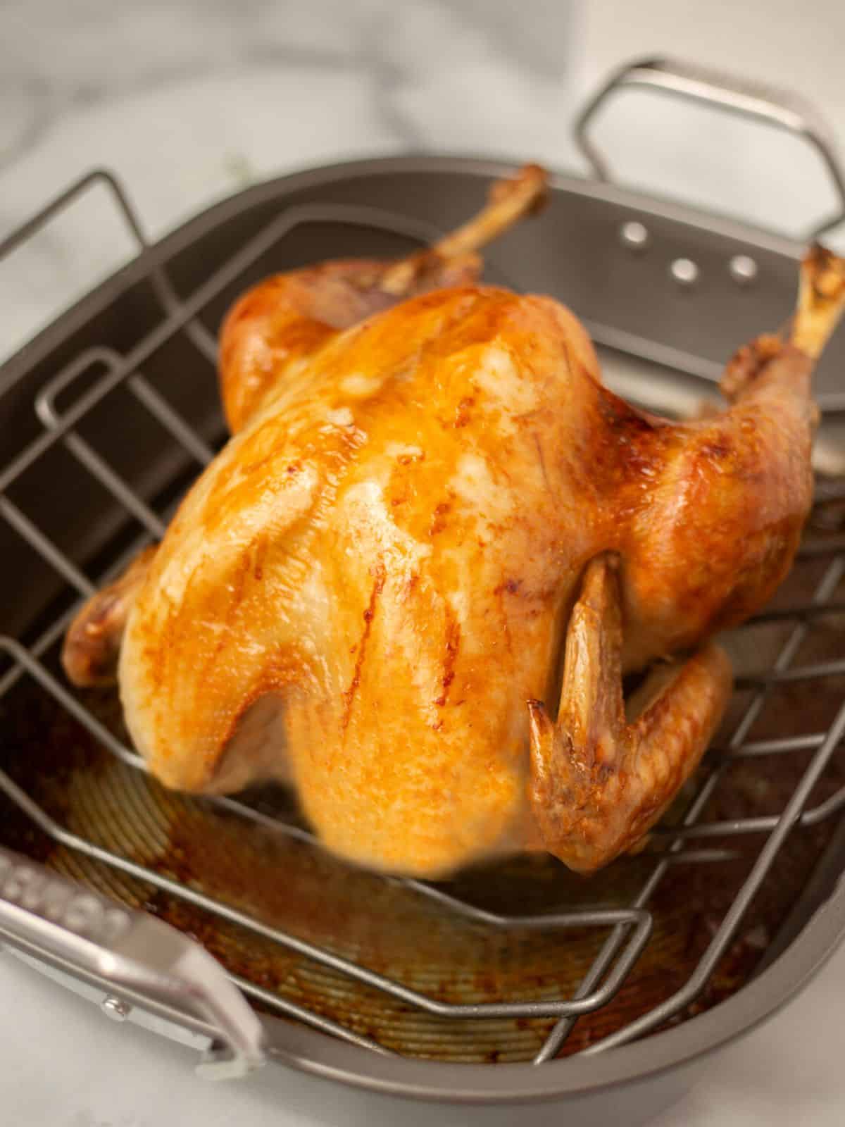 Roasted Turkey in roasting pan.