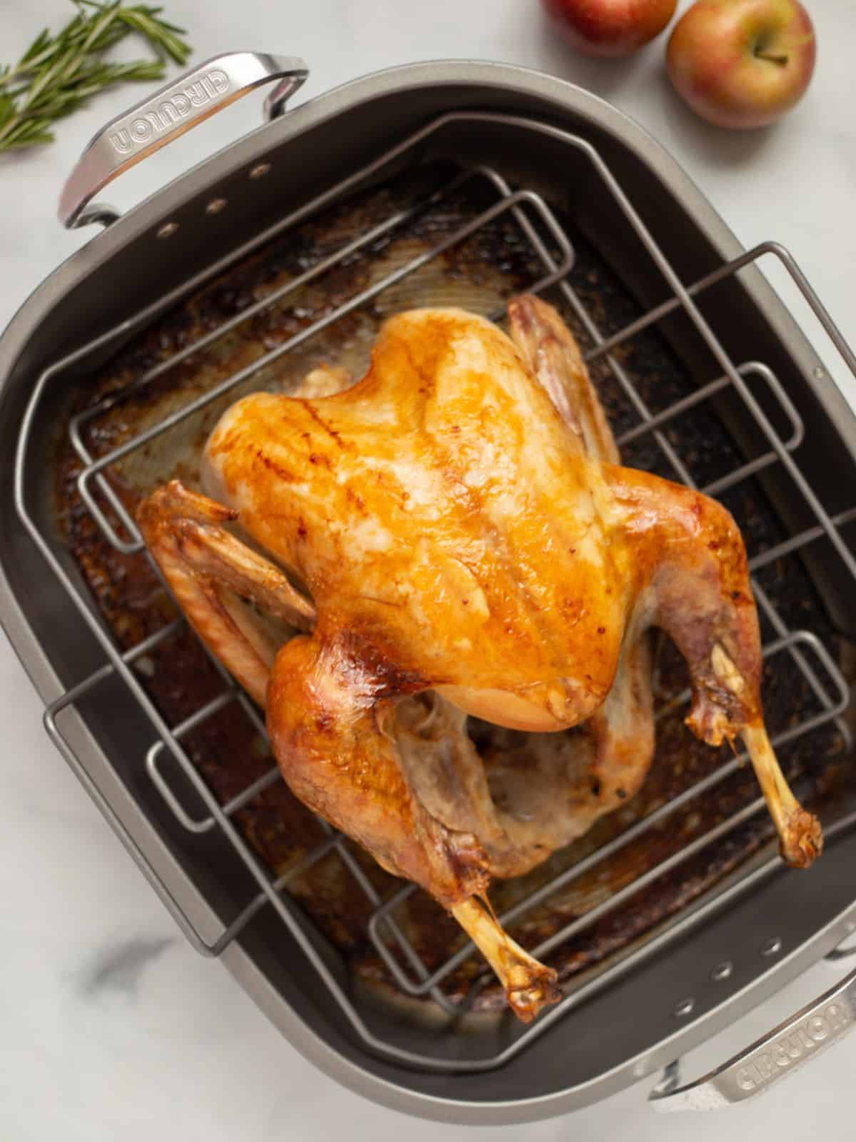 Cooked Turkey in roasting pan.