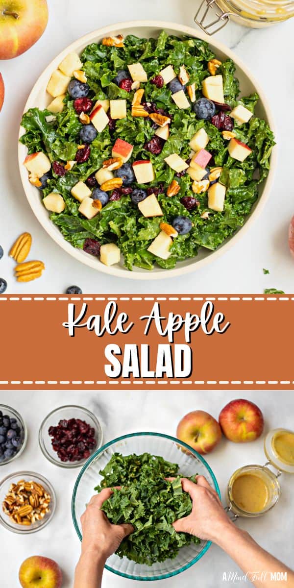 This is the best recipe for Kale Salad! Made with a sweet and tangy dressing, fresh apples, tart cranberries, and toasted nuts, this simple recipe for kale salad is full of flavor, texture, and nutrients!