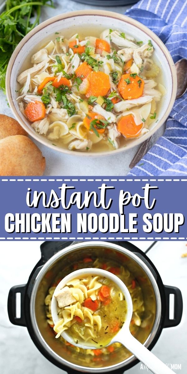 Instant Pot Chicken Noodle Soup - Ready in Under 30 Minutes!