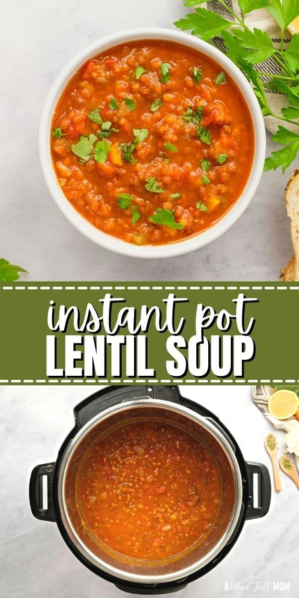 Full of earthy lentils and a richly seasoned broth, this vegan-friendly Instant Pot Lentil Soup is anything but bland or boring. 