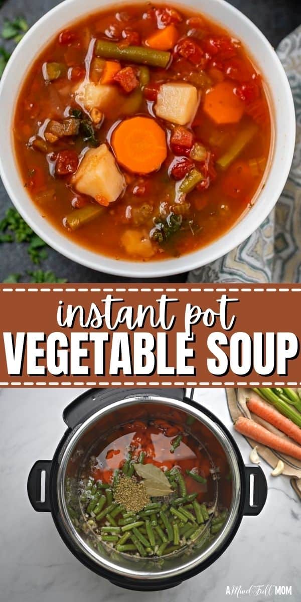 Instant Pot Vegetable Soup is a hearty, healthy, and incredibly flavorful soup that comes together in just over 30 minutes. 