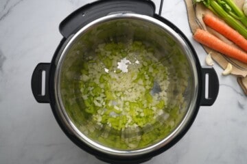 Celery and onions in inner pot.