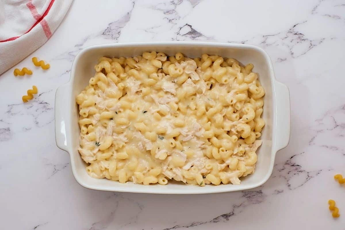 Chicken Pasta spread out in baking dish.