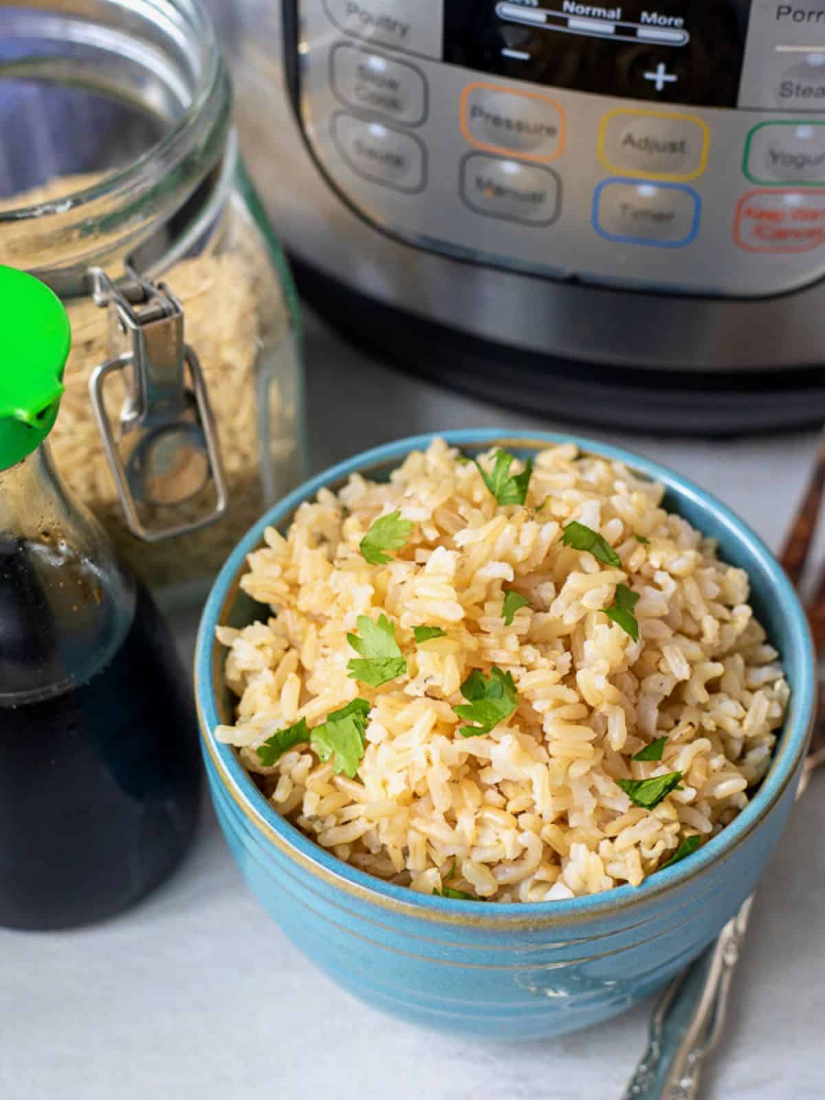 Bowl of brown rice next to Instant Pot.