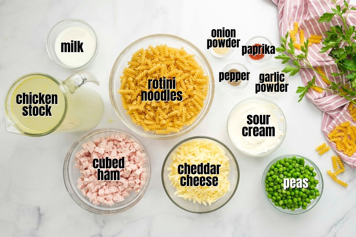 Ingredients for Instant Pot Pasta labeled on counter.